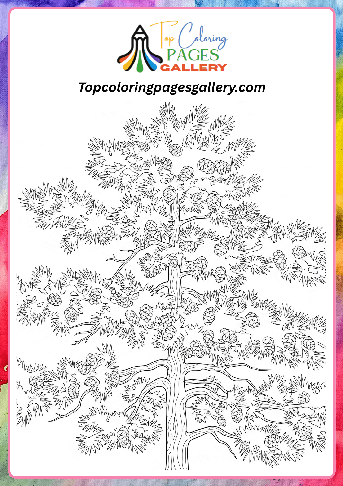 pine tree coloring page
