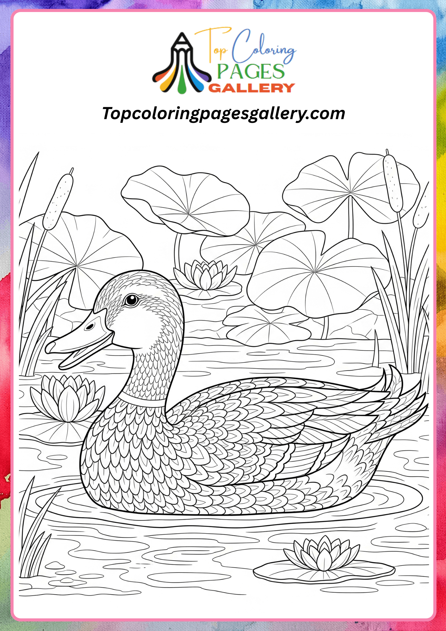 realistic duck coloring page