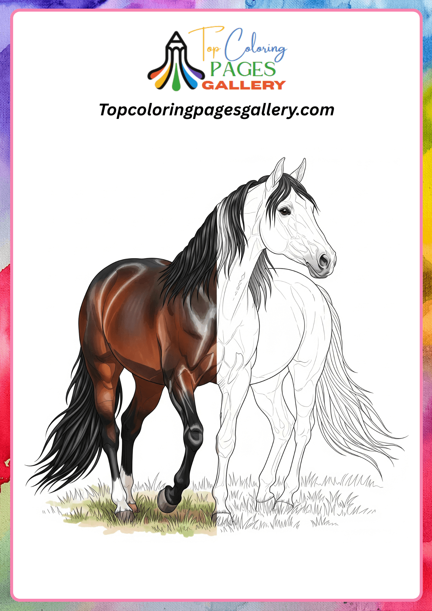 horse coloring sheet