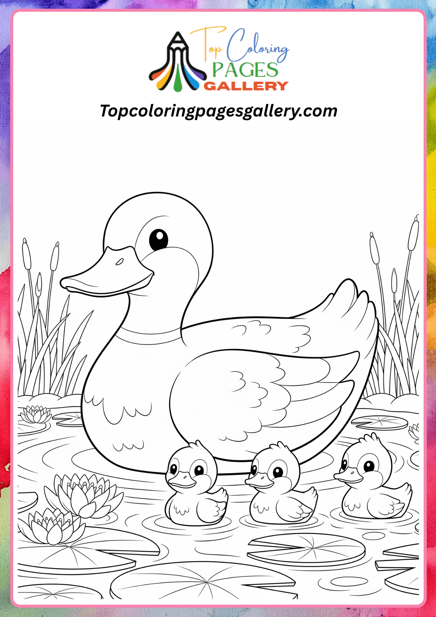mallard duck coloring page
