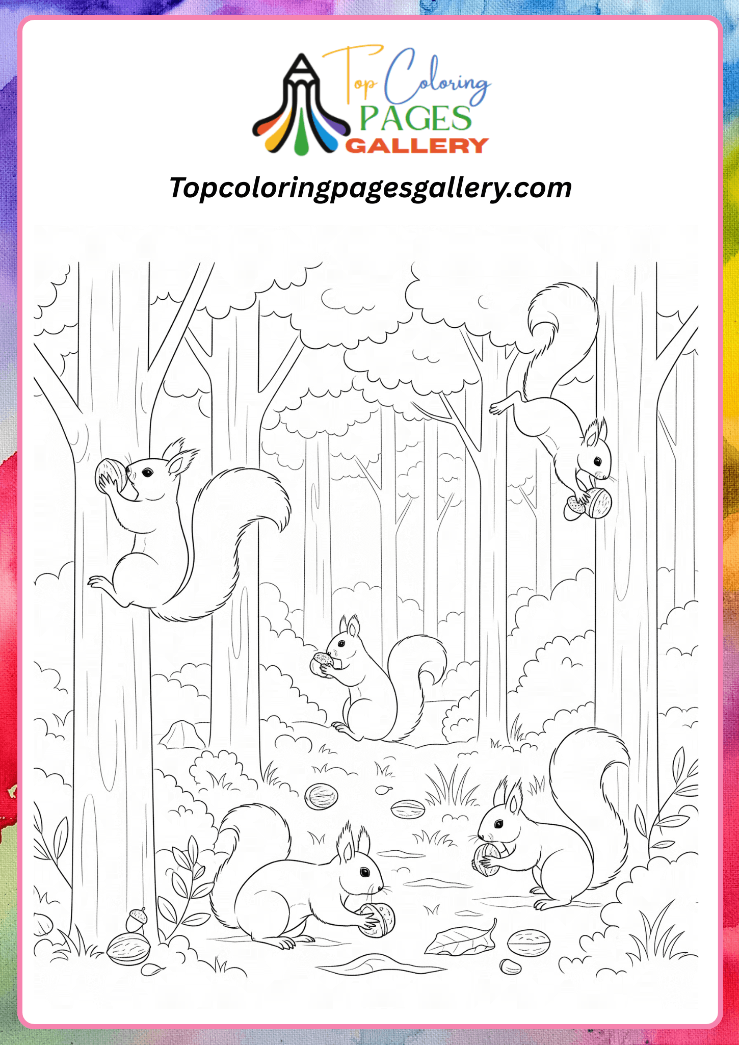 Squirrels collecting nuts in the forest