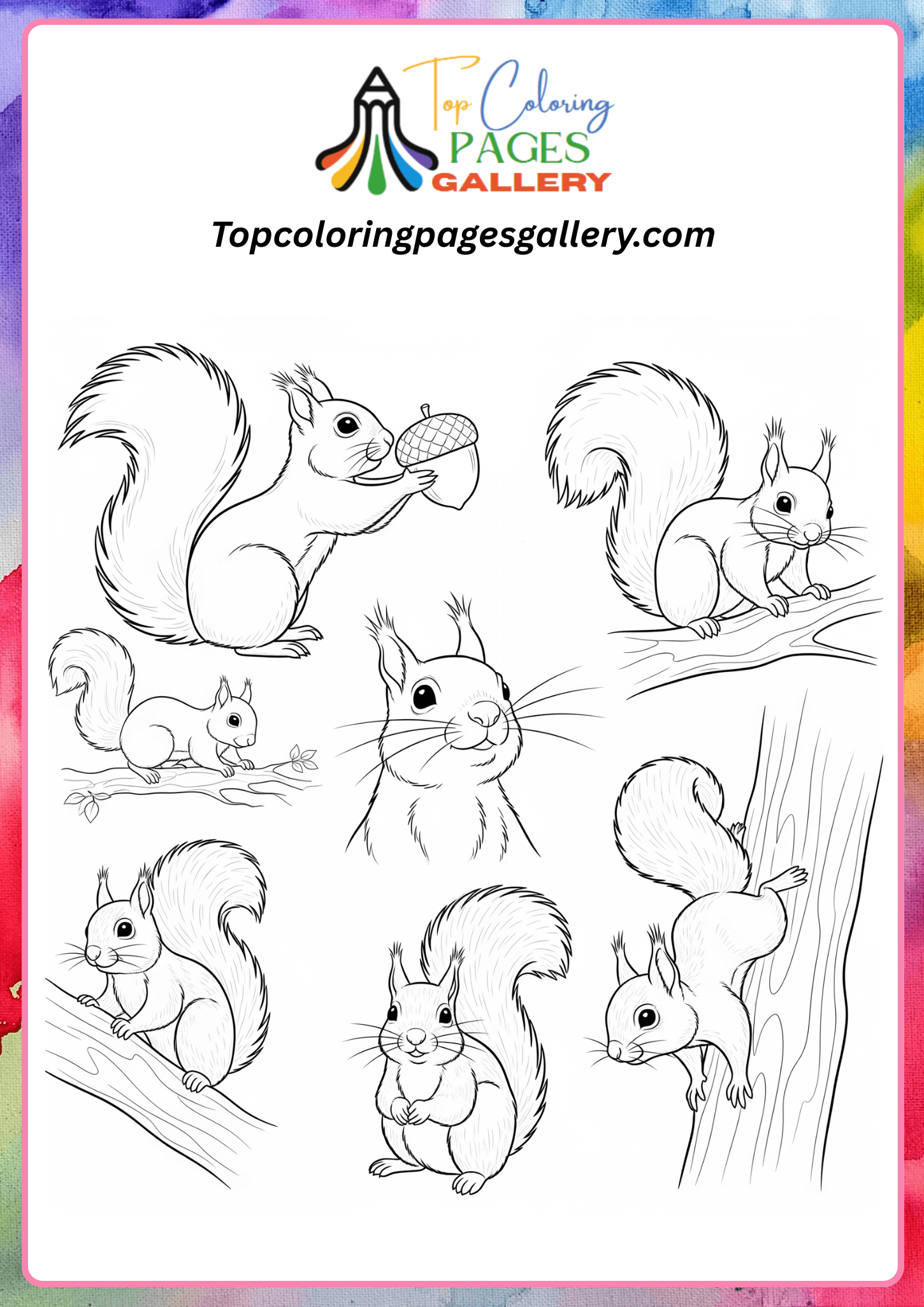 Realistic squirrel coloring