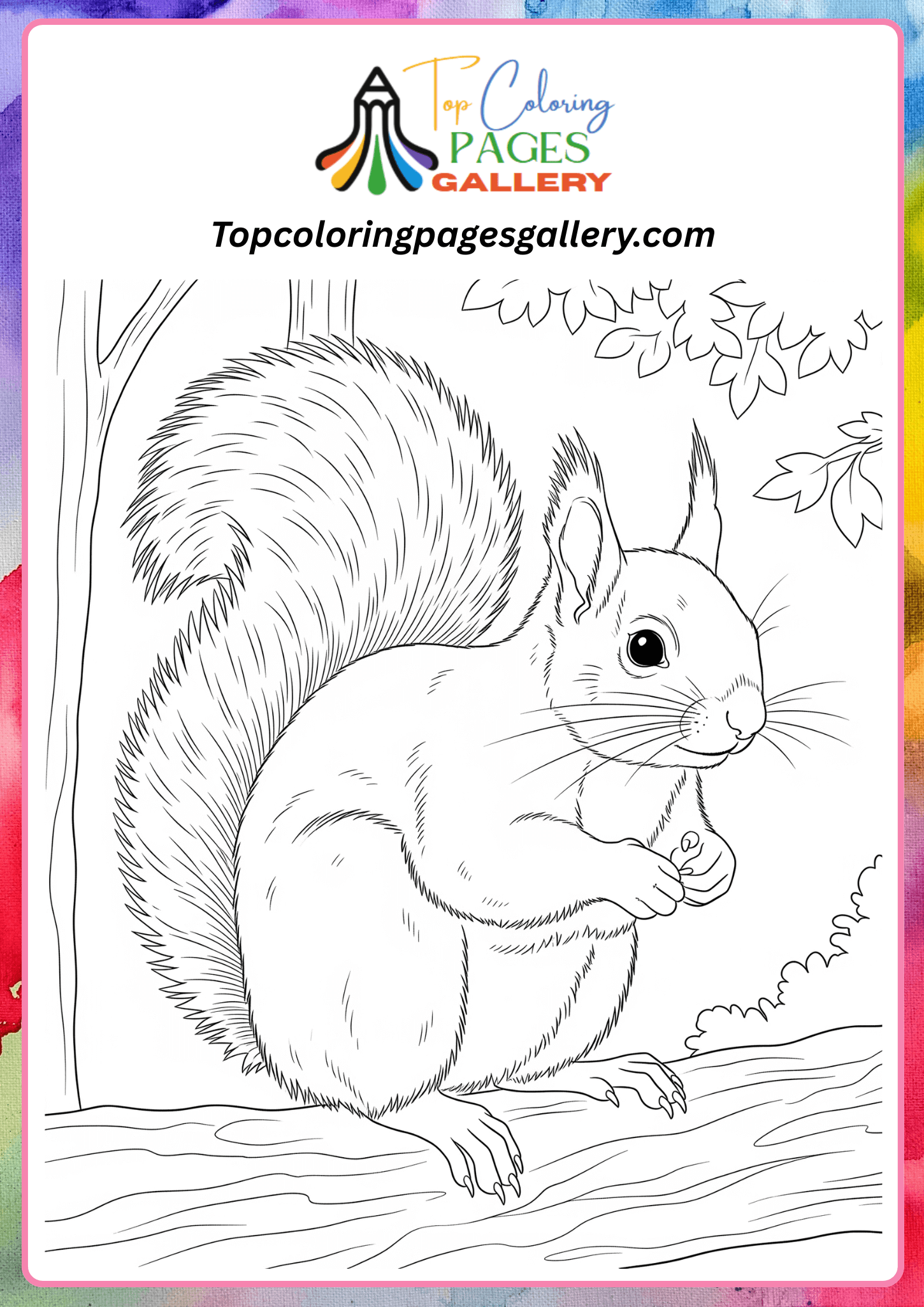 Realistic squirrel coloring page.png