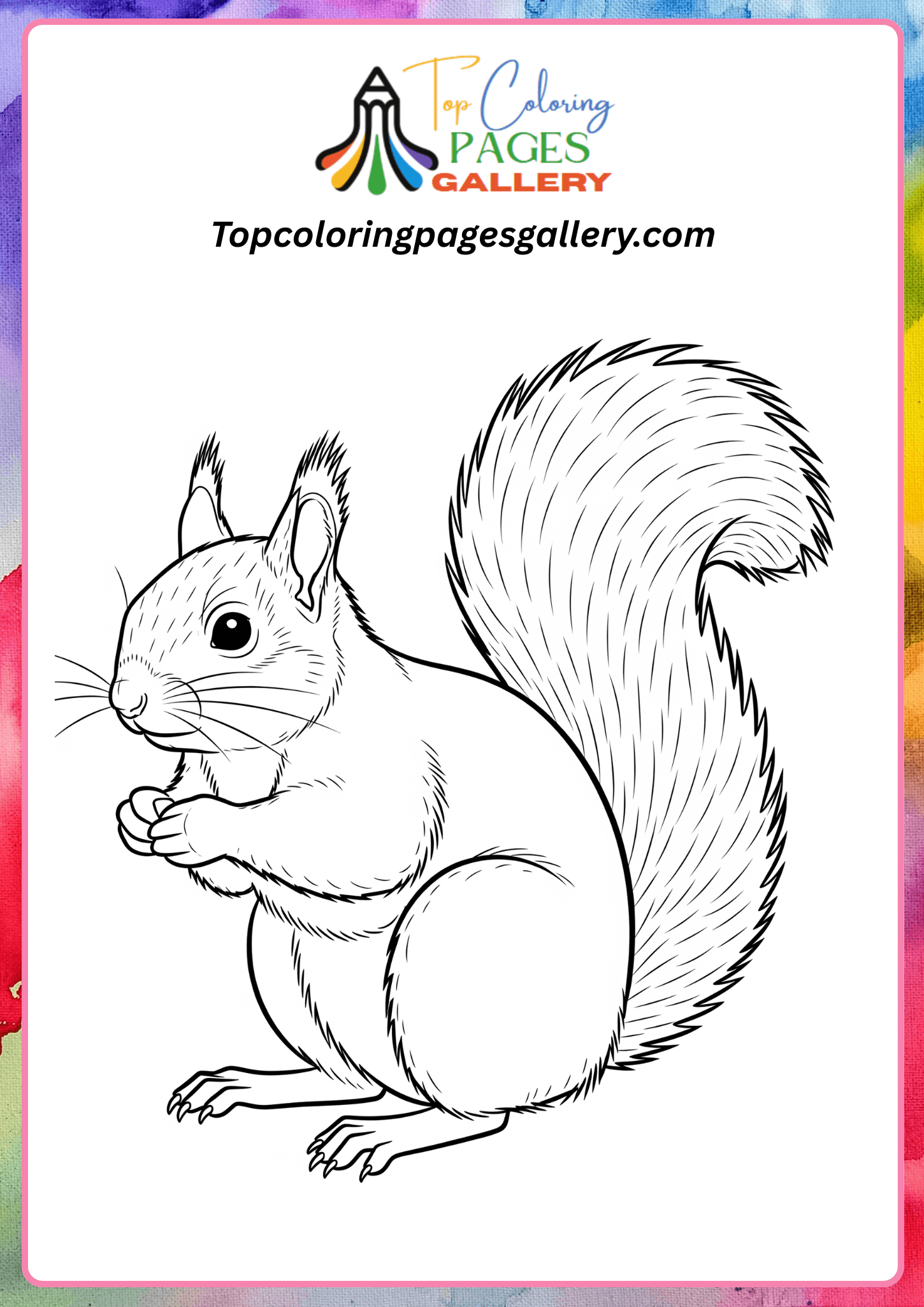Realistic squirrel coloring printable