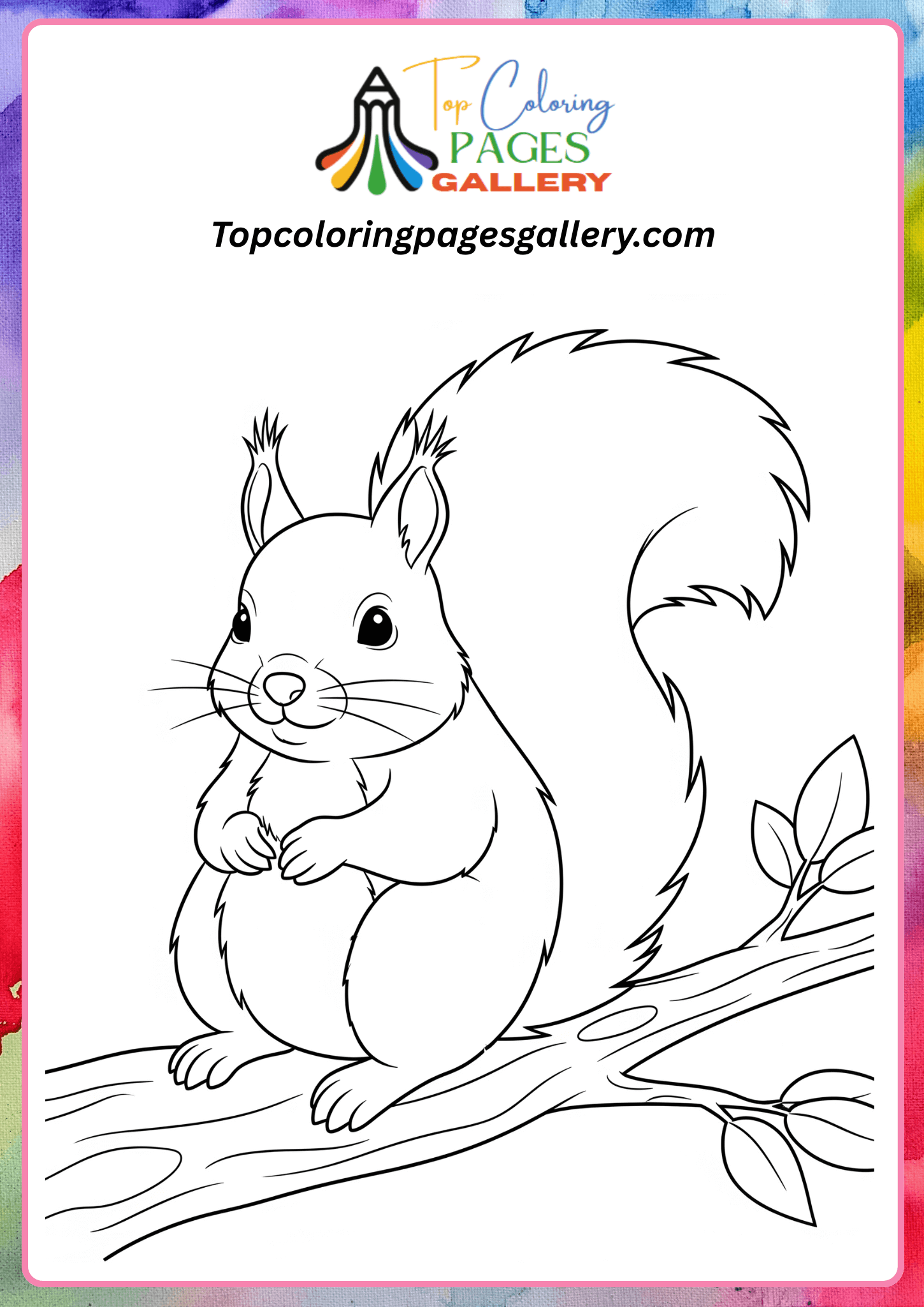 Squirrel Coloring Page Packs