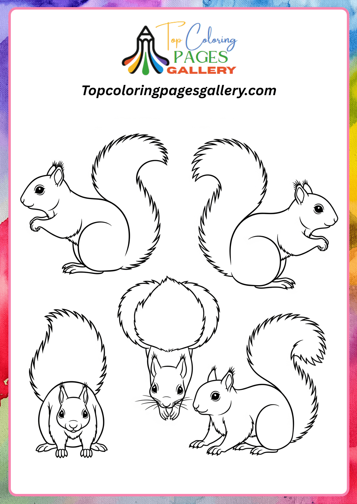 Natural squirrel coloring