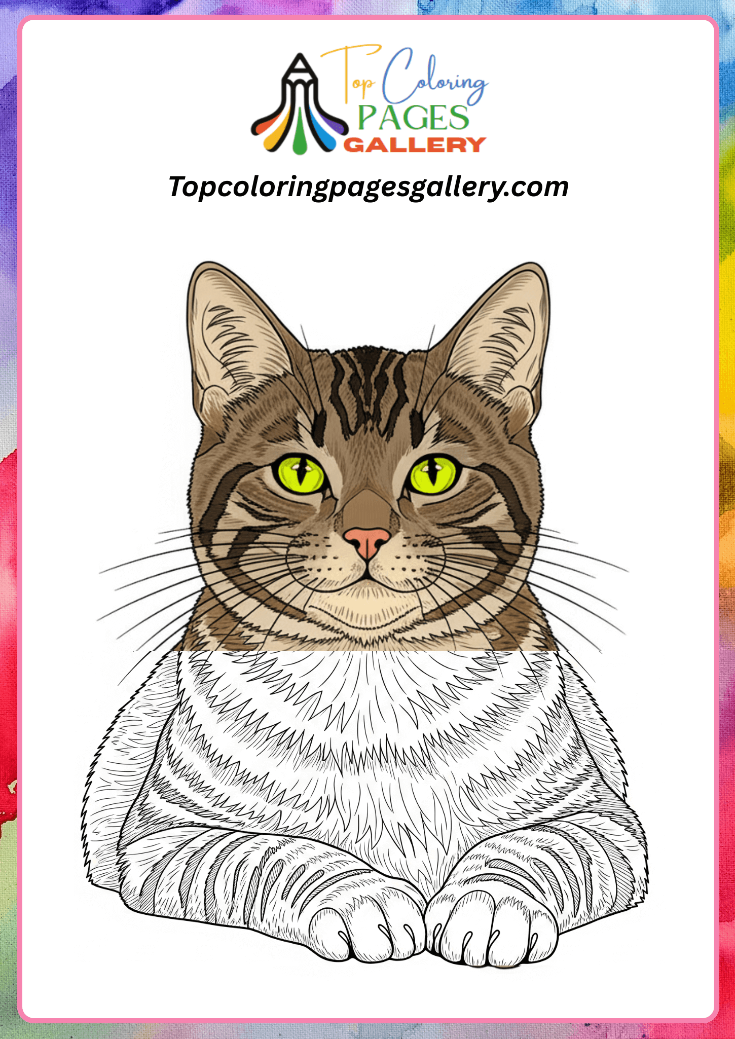 cat coloring page for adults