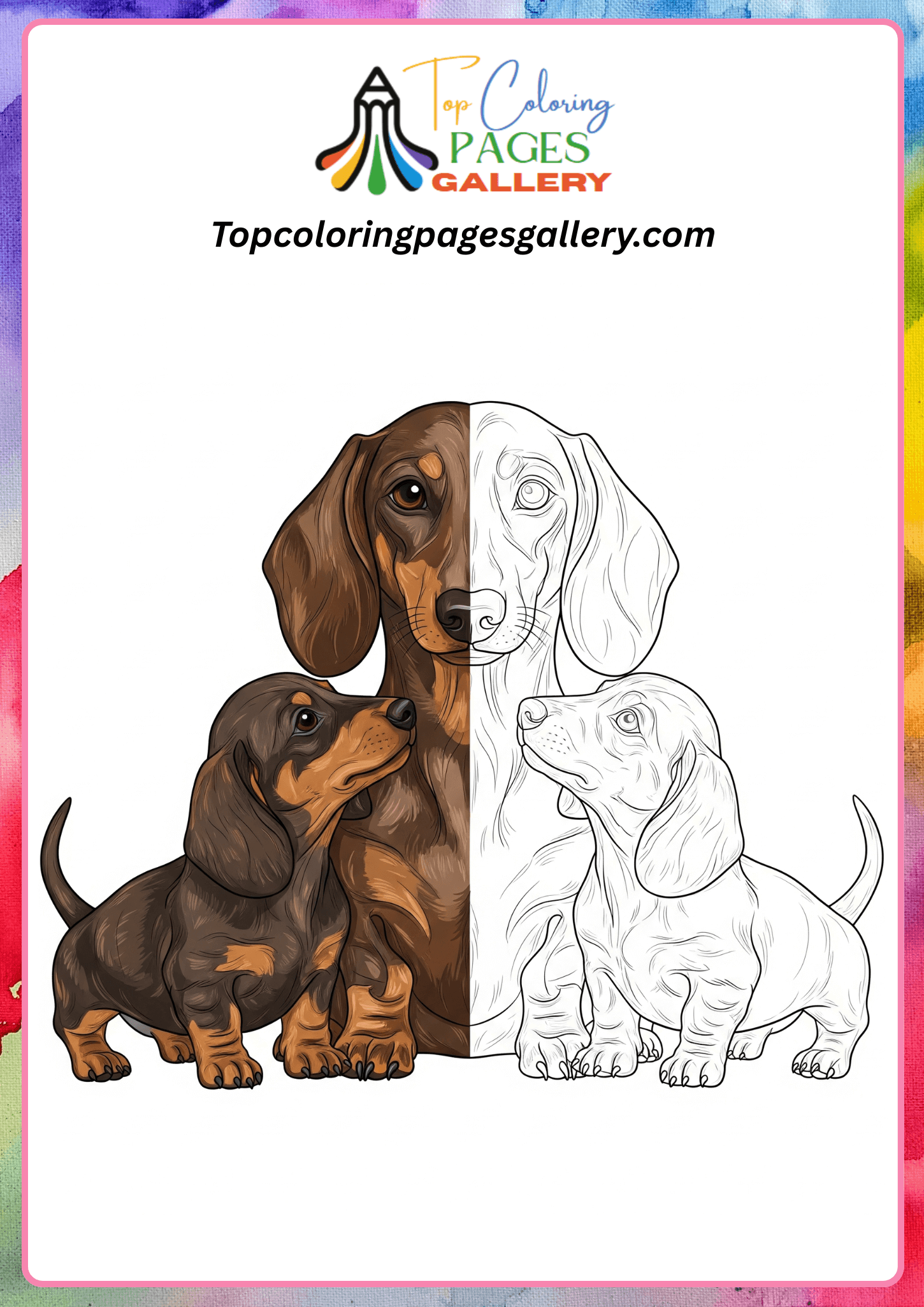 dachshund coloring pages for adults