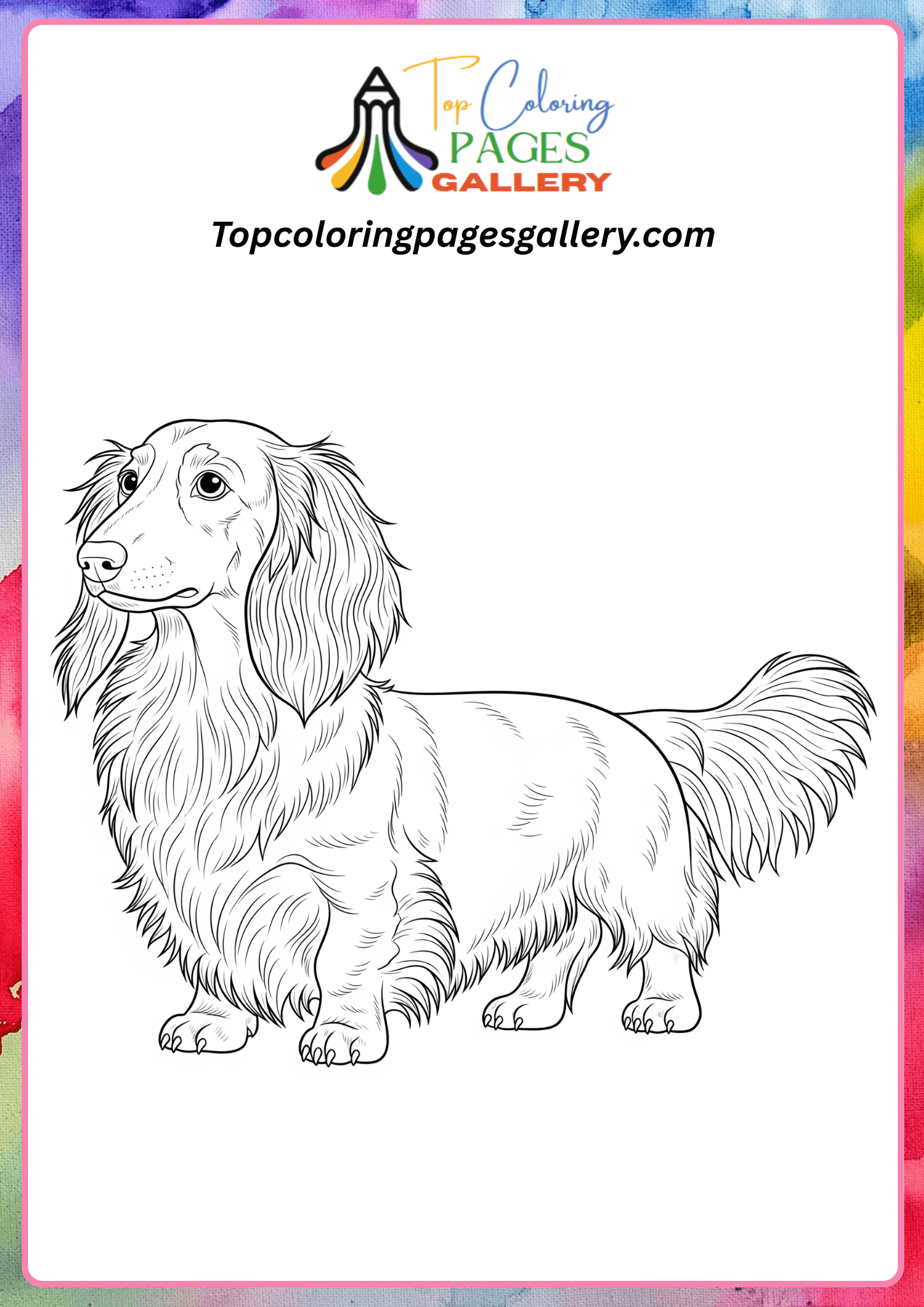 long haired dachshund coloring pages