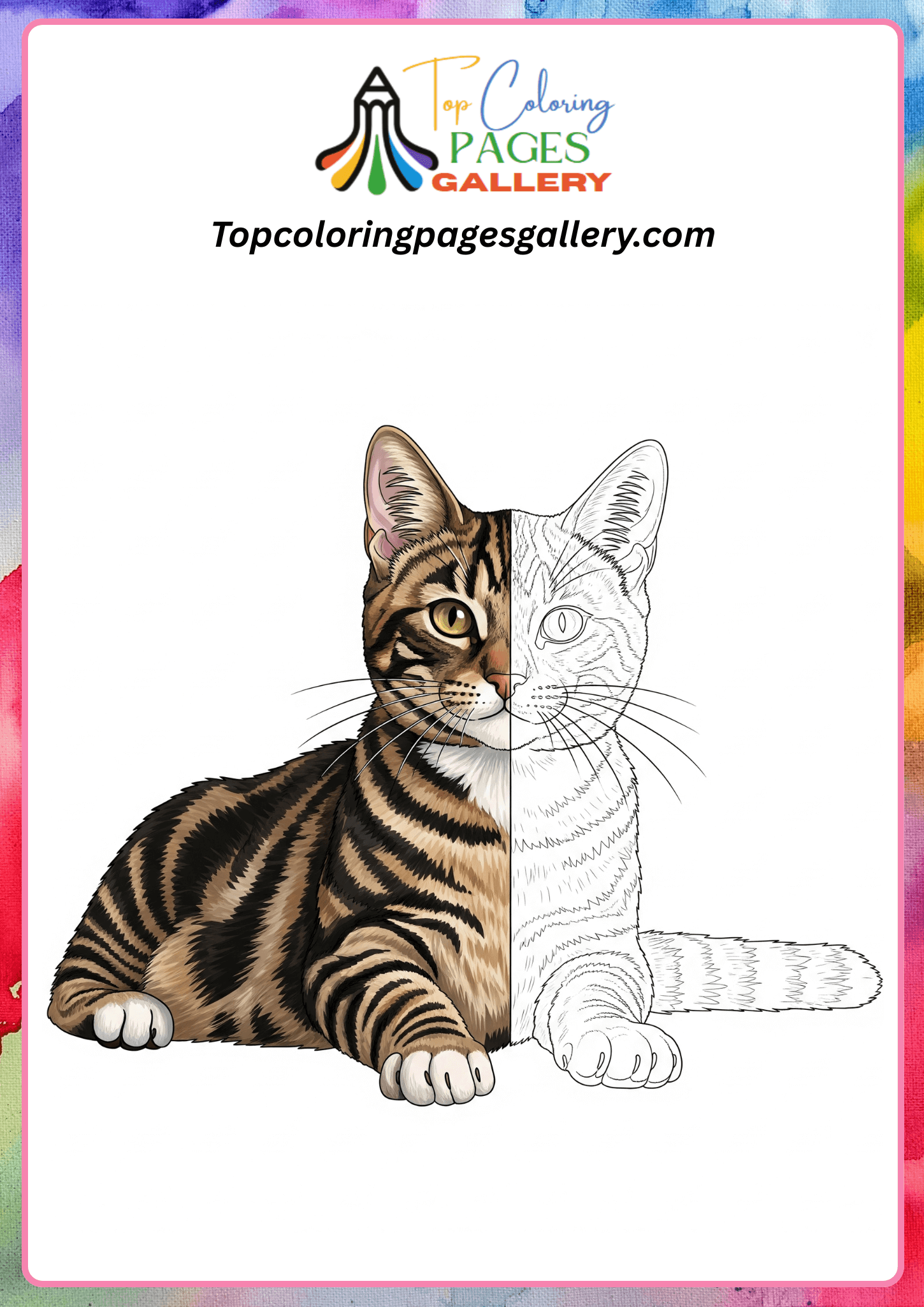 realistic cat coloring page
